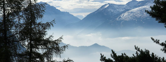 超强威力持久的呼死你网页版