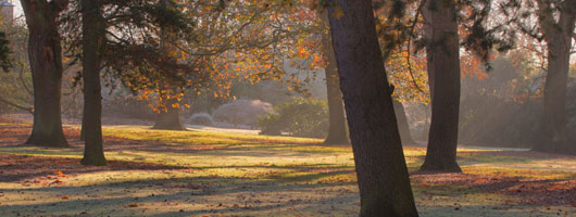 卡密网站推荐的短信验证码轰炸网址免费